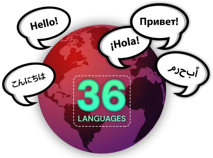 NetusAI multilingual summarization tool